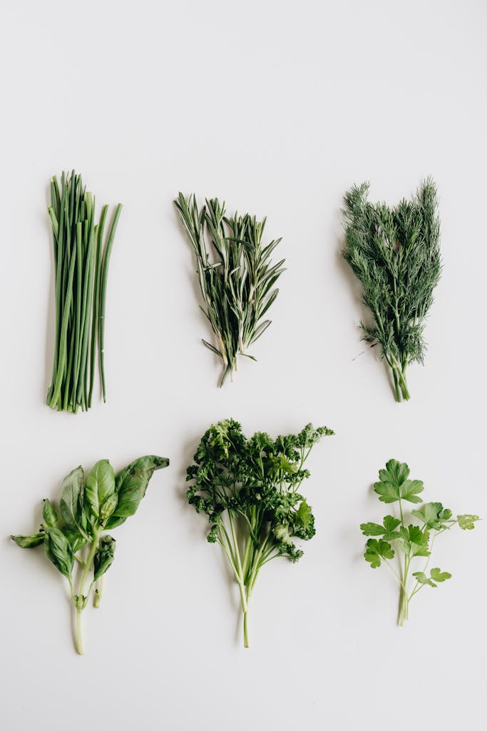 6 Herbs You Can Grow In Water